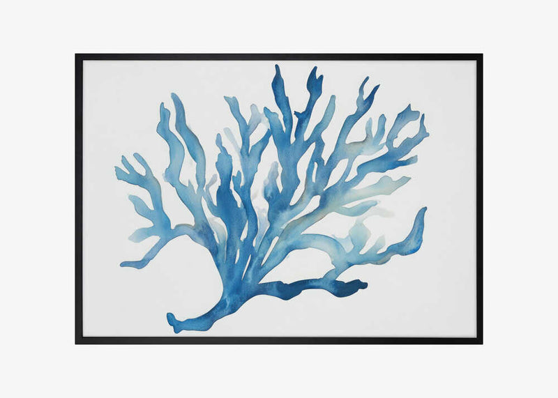 Blue Coral
