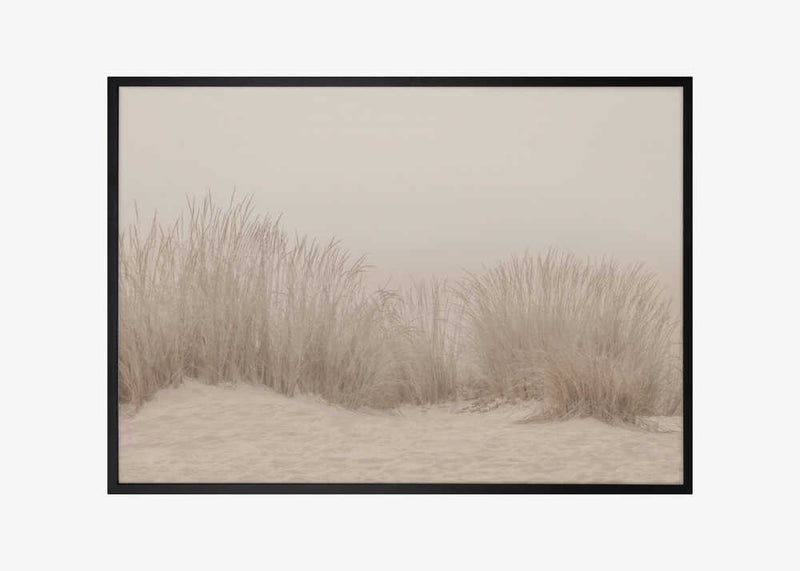 Dunes Grass Beige
