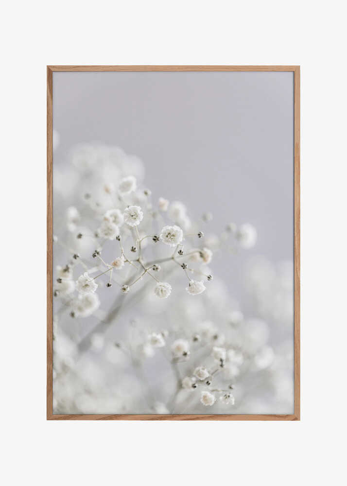 White Breath Flowers