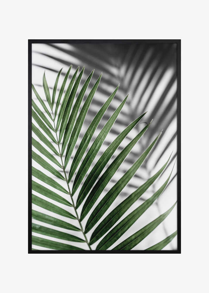 Vibrant Green Palm Leaf
