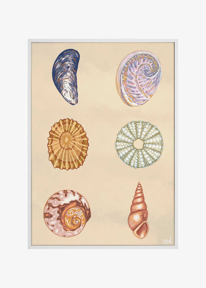 Treasures of the Tide