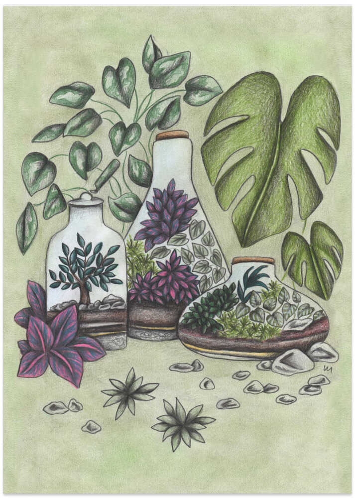 Magical Terrariums