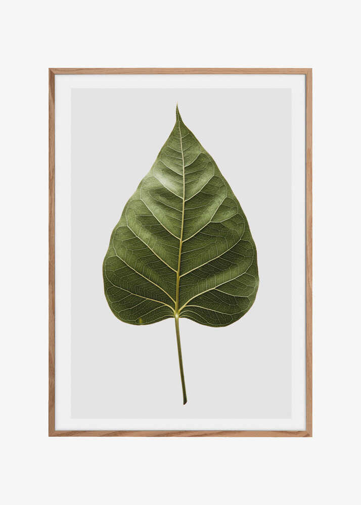 Leaf&#039;s Intricate Veins