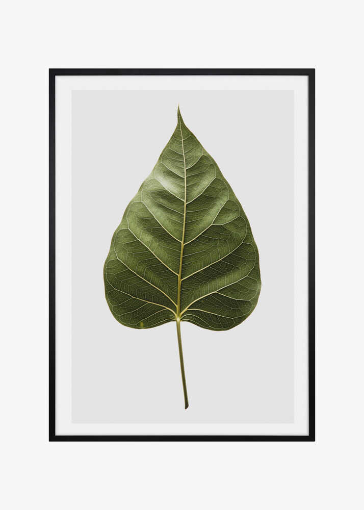 Leaf&#039;s Intricate Veins