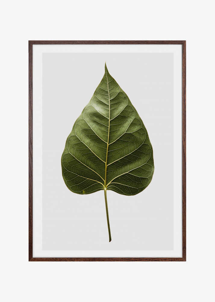 Leaf&#039;s Intricate Veins