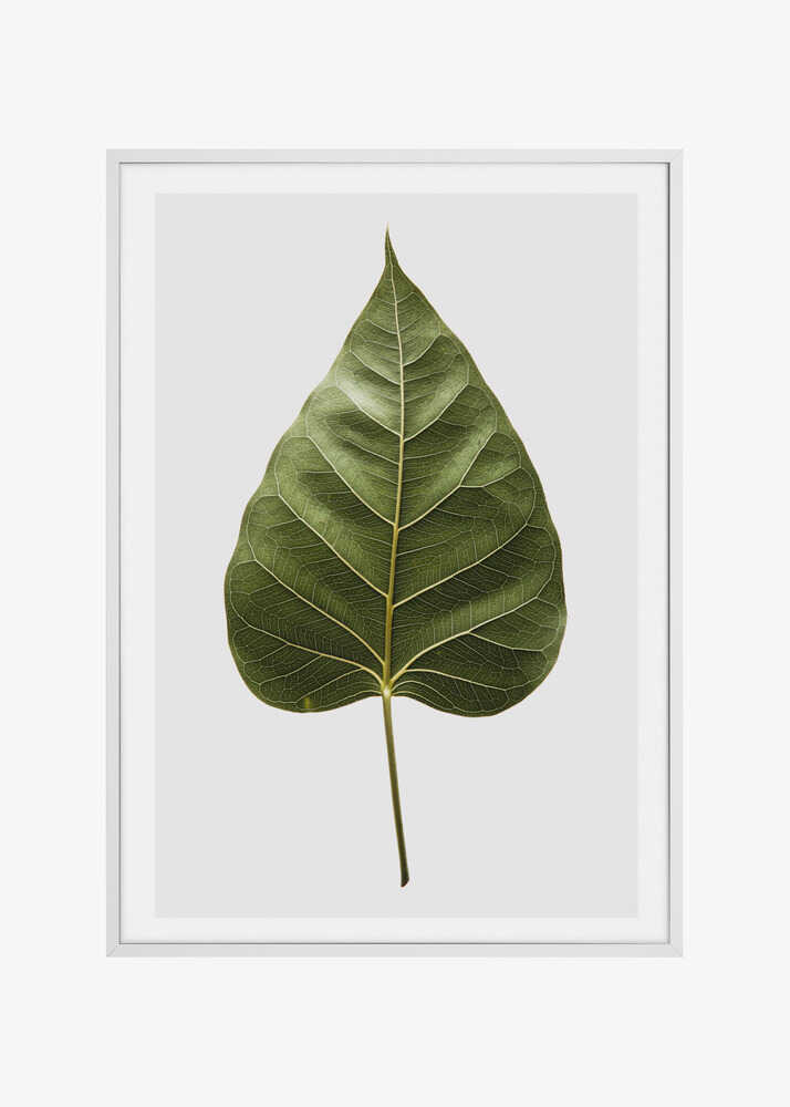 Leaf&#039;s Intricate Veins