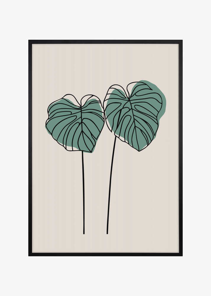 Monstera Leaves