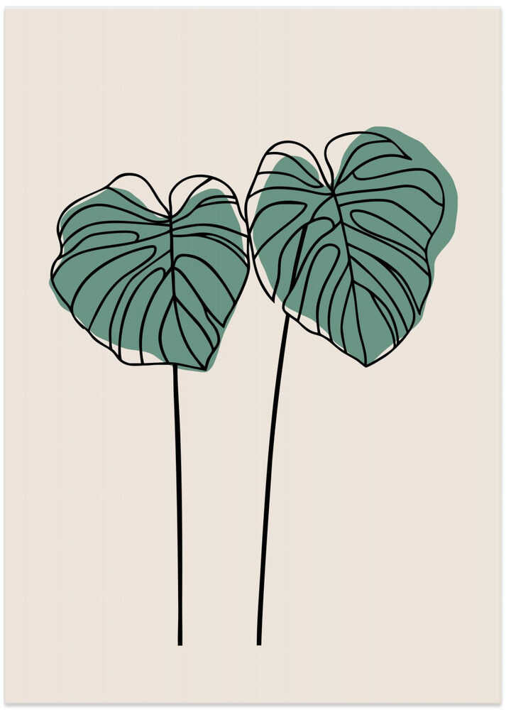 Monstera Leaves