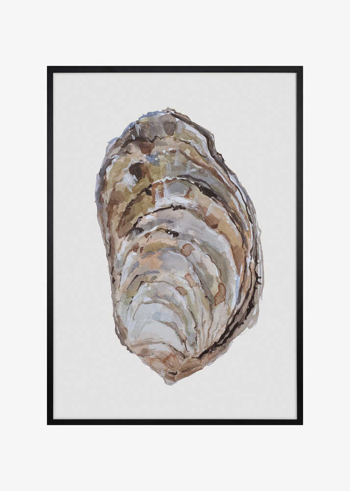 Oyster&#039;s Elegance