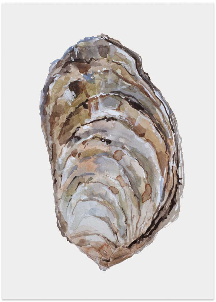 Oyster&#039;s Elegance