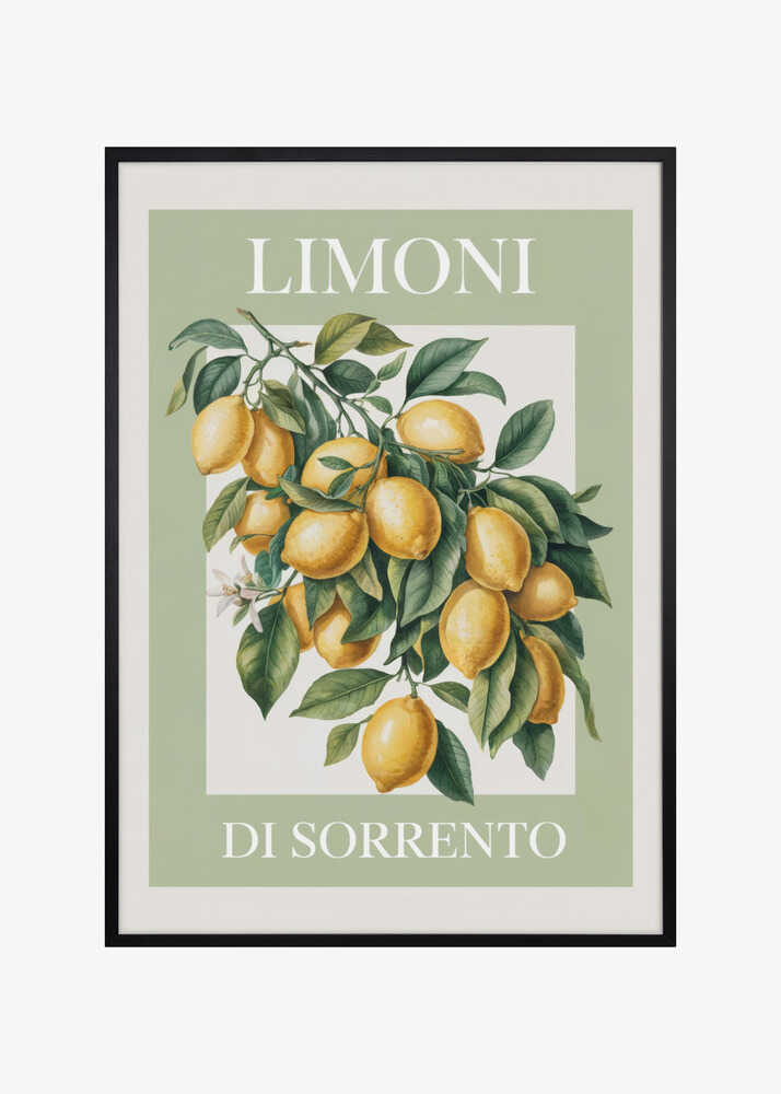 Limoni Di Sorrento 2