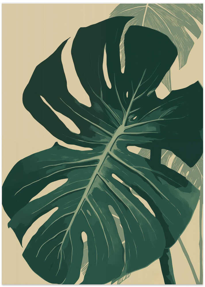 Monstera Leaf