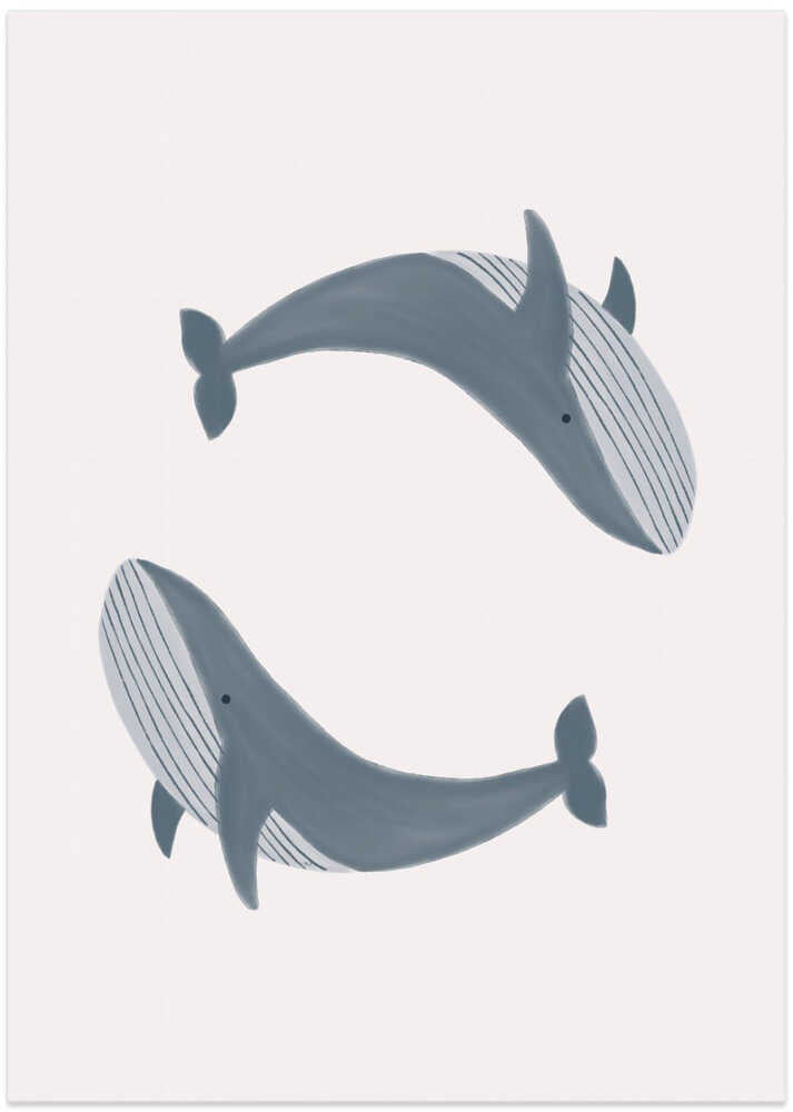 Two Whales