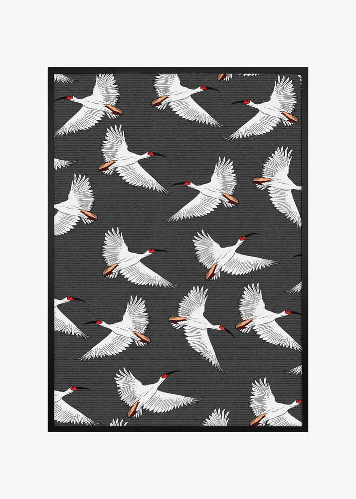 Crested Ibis Pattern