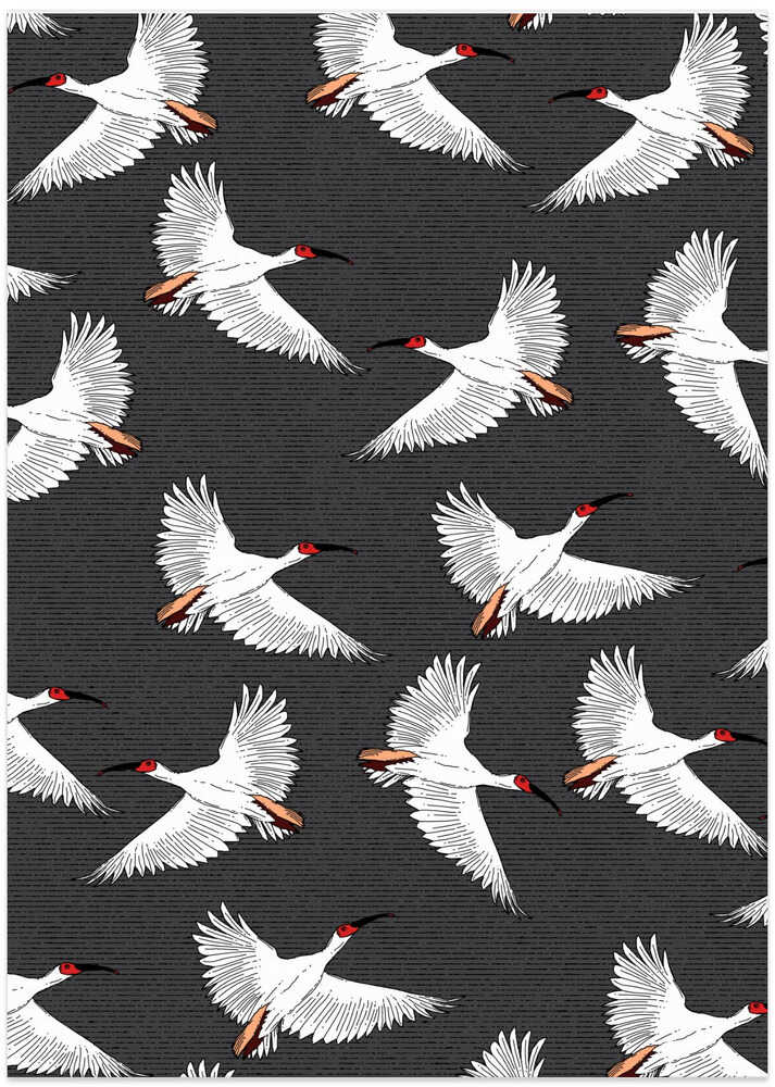 Crested Ibis Pattern