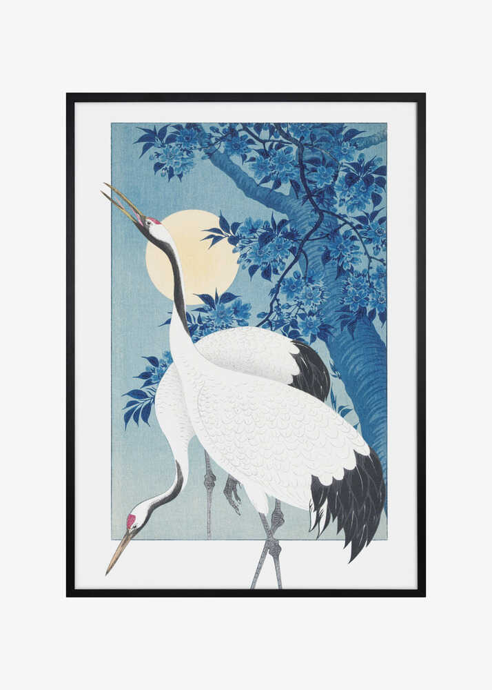 Cranes In a Moonlit Night