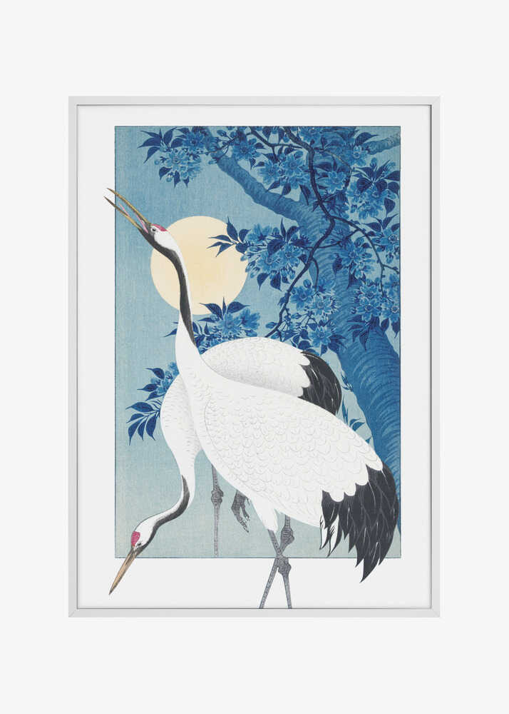 Cranes In a Moonlit Night