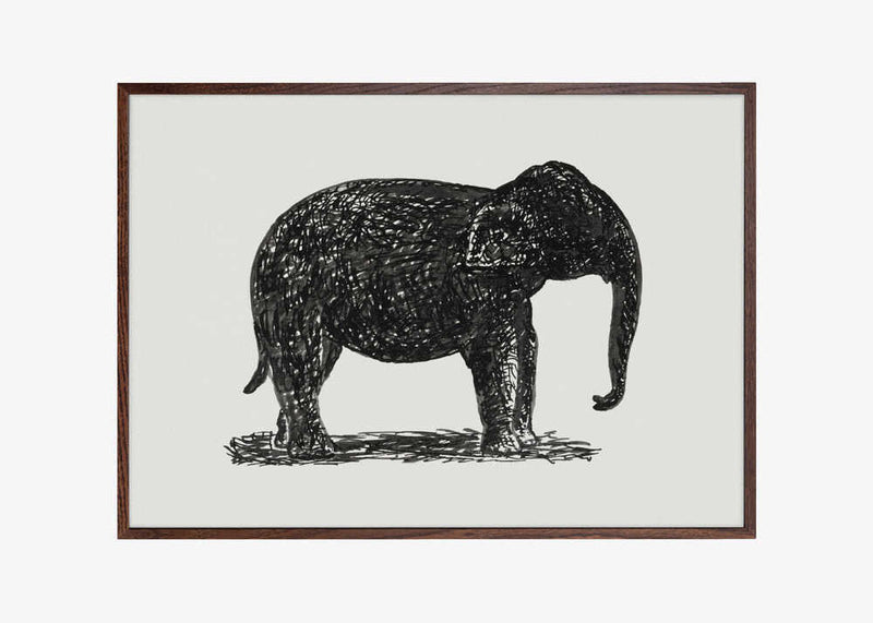 Elephant (ca. 1891–1941)