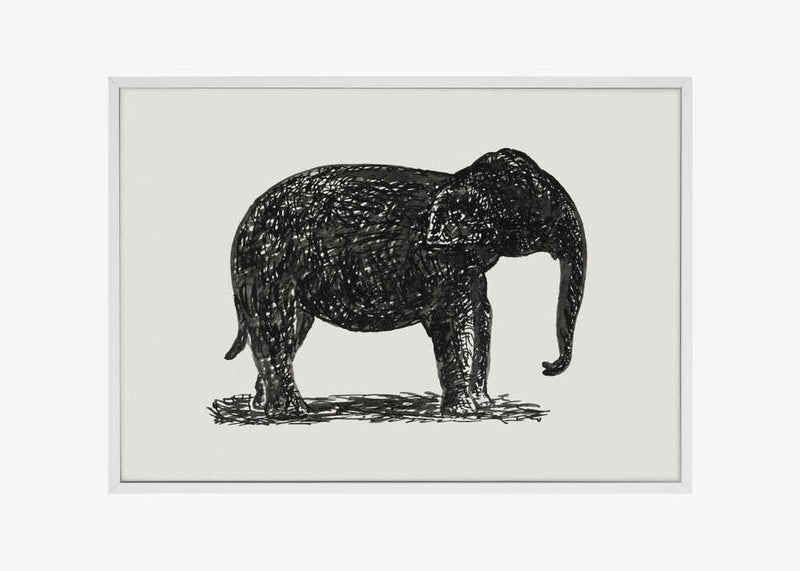 Elephant (ca. 1891–1941)