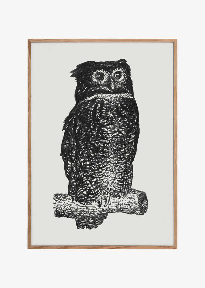 Owl