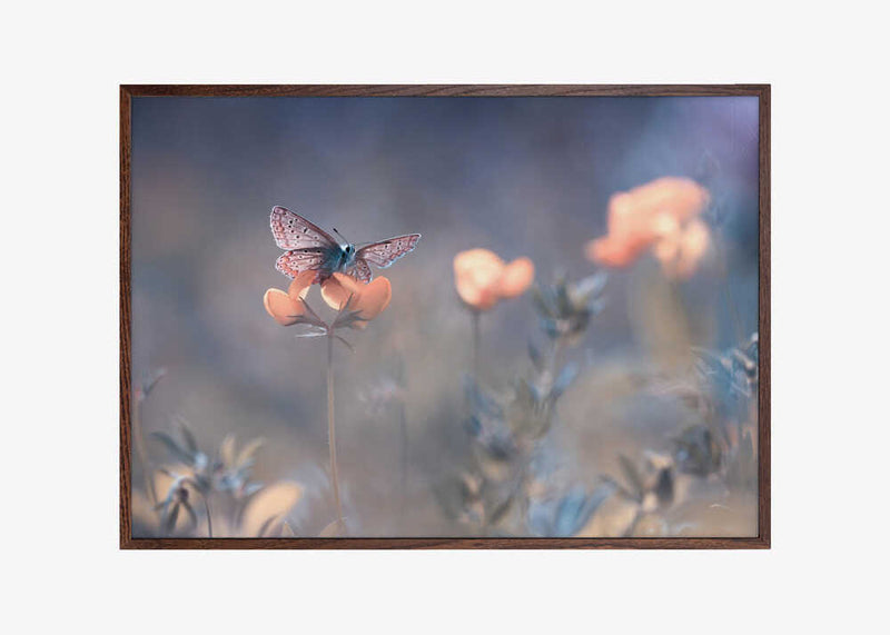 The Lady of Lothlorien