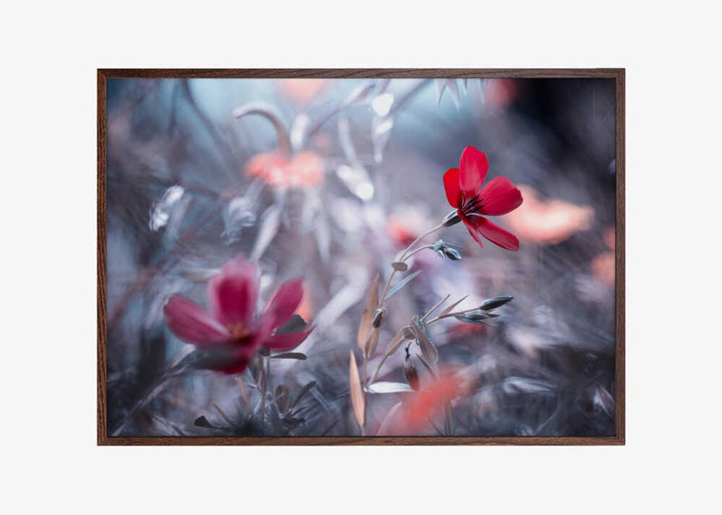 Une Fleur, une Histoire