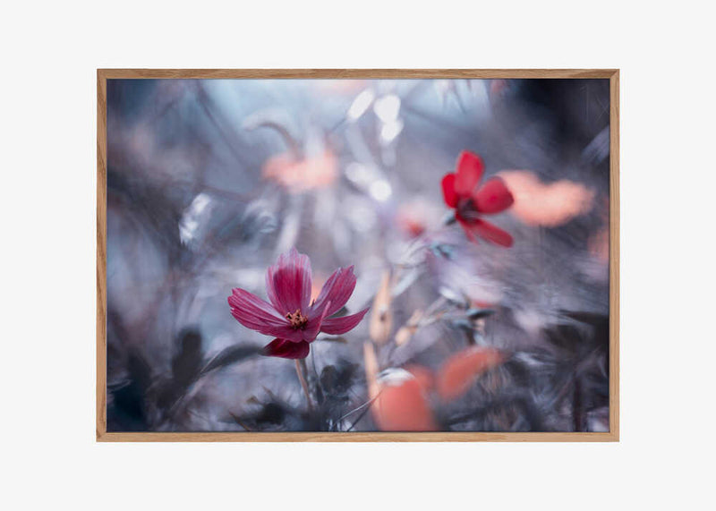 Une autre fleur, une autre histoire