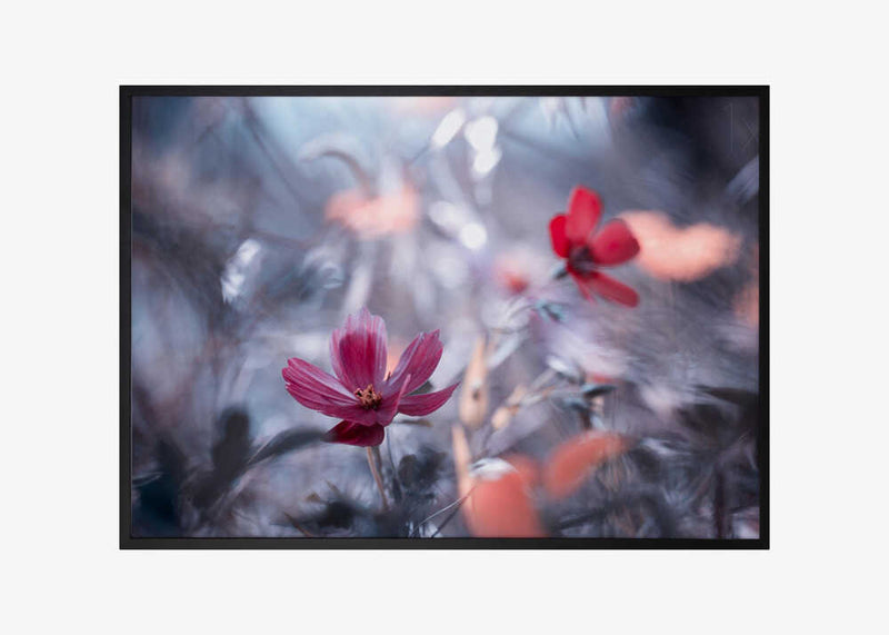 Une autre fleur, une autre histoire