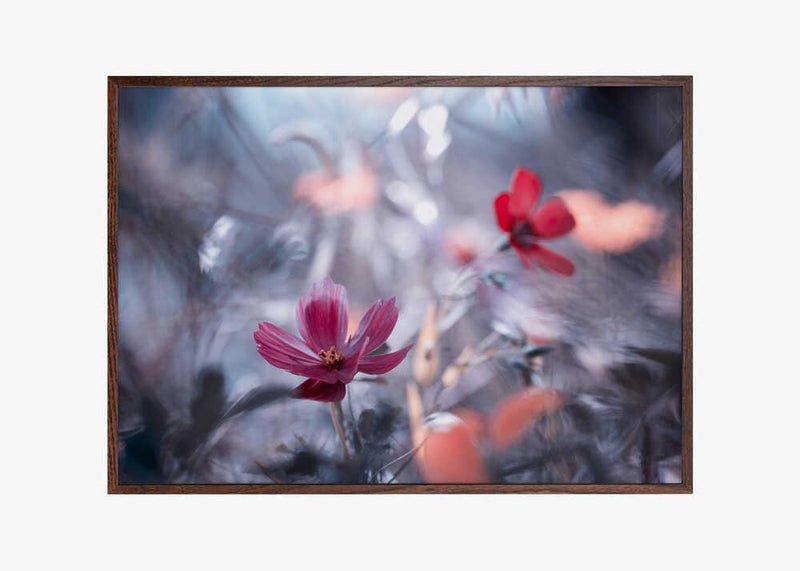 Une autre fleur, une autre histoire