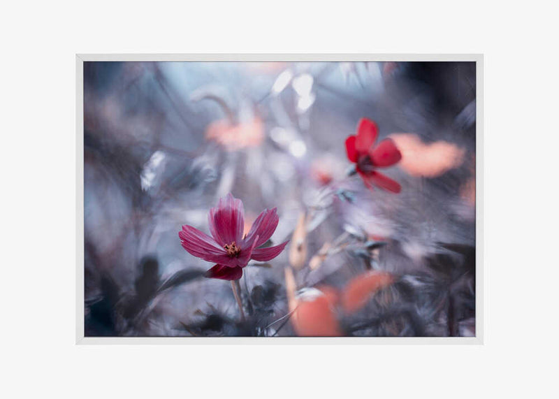 Une autre fleur, une autre histoire