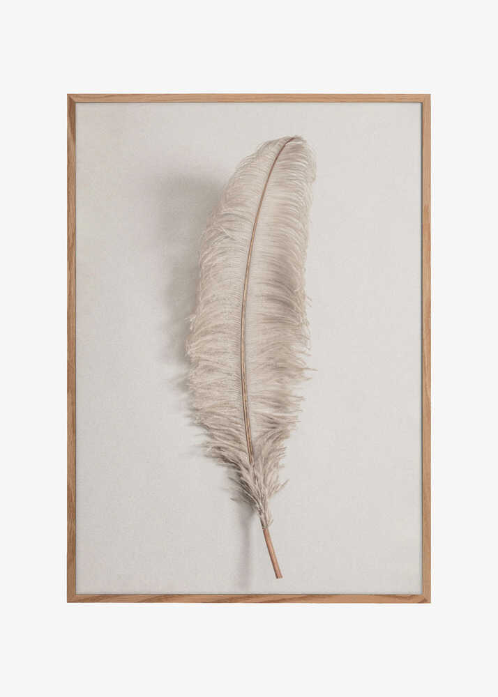 Feather_002
