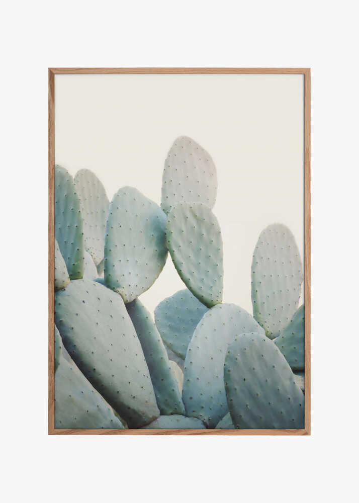 Pastel Cacti
