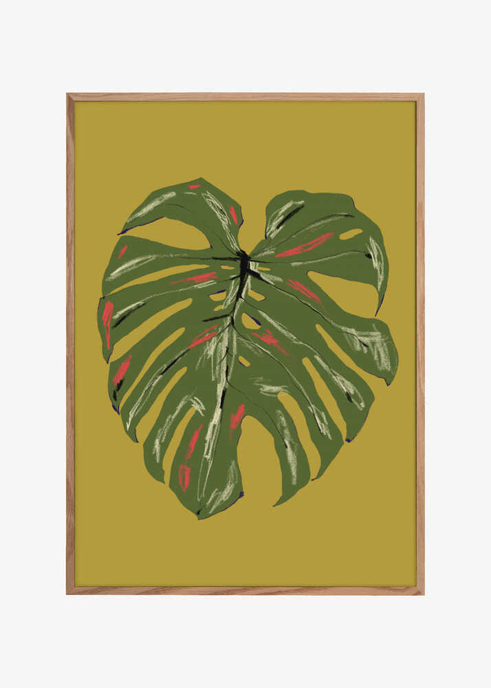Monstera Leaf Green
