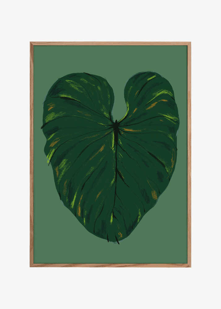 Philodendron Gloriosum Green