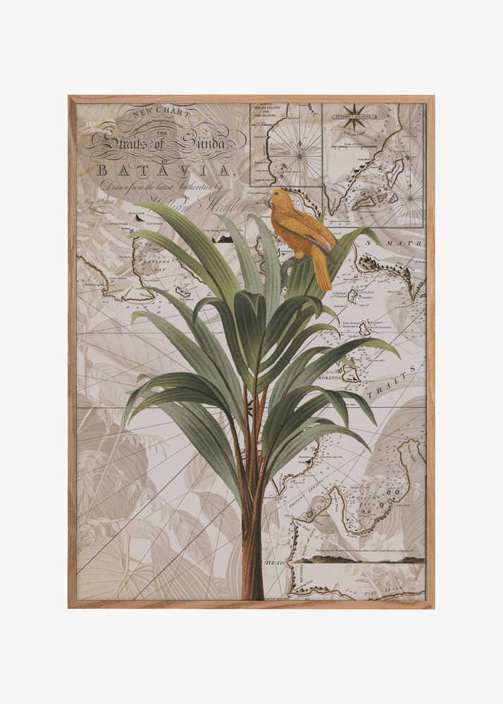 Indonesia Jungle Paradise No2