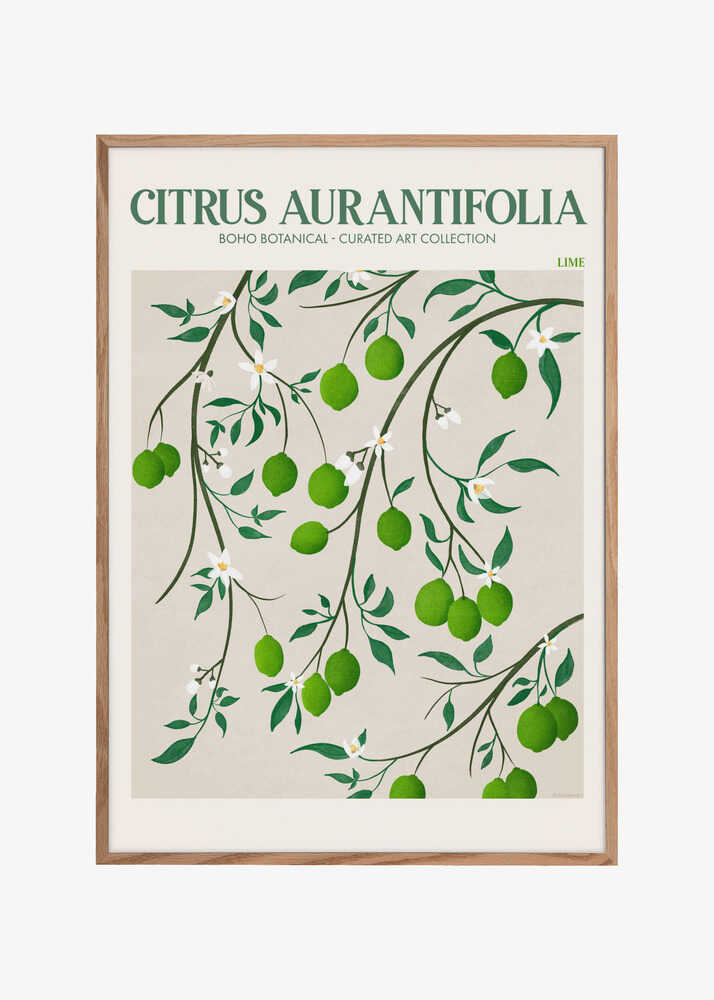 Botanical Lime Bliss