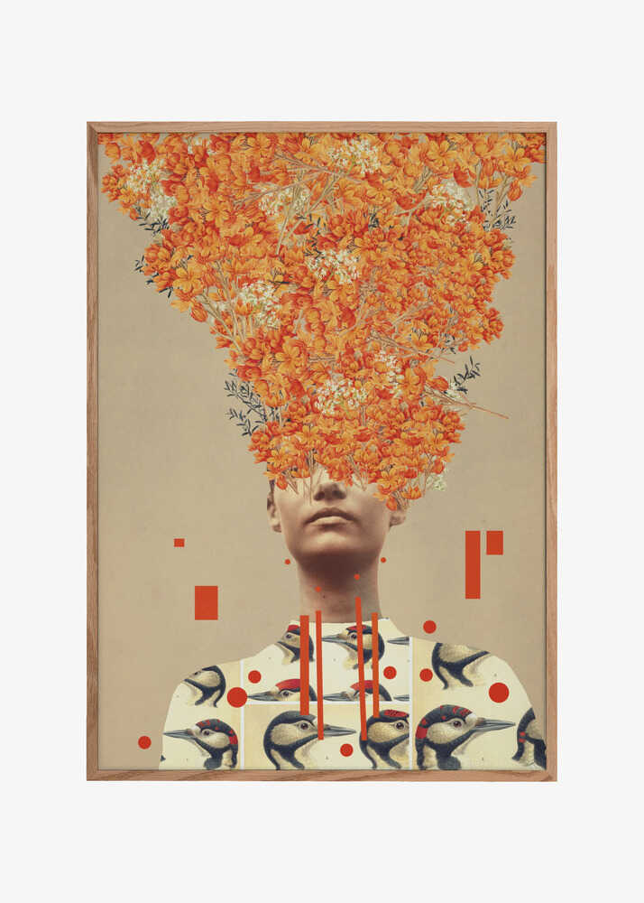 Bird Flight In Autumn