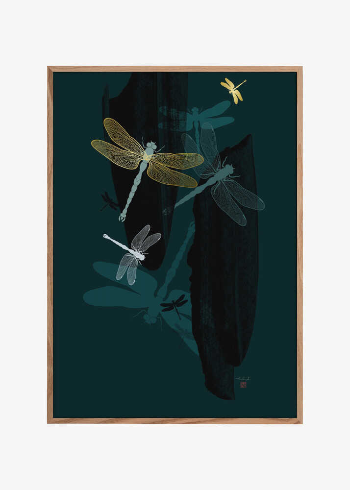 Midnight Dragonflies