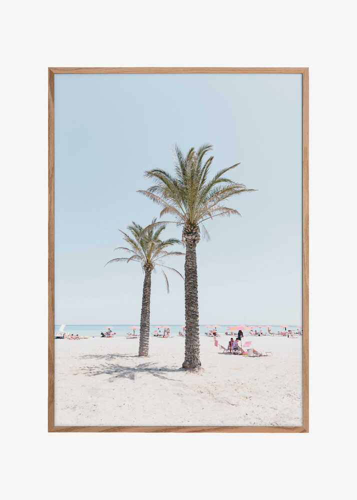 Palm tree at the beach