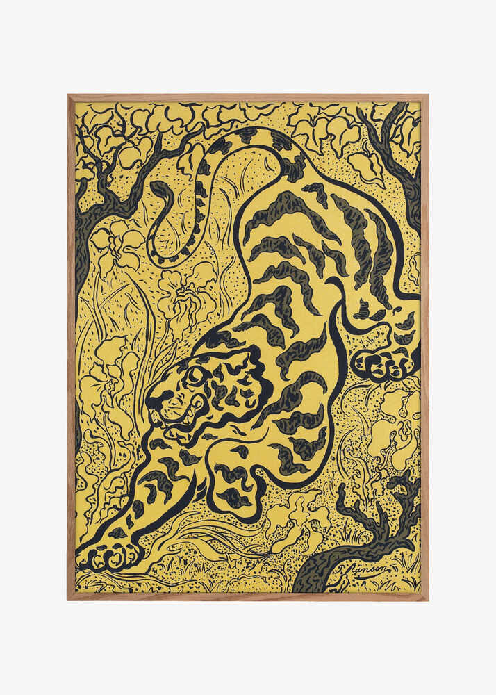 Tigre Dans Les Jungles