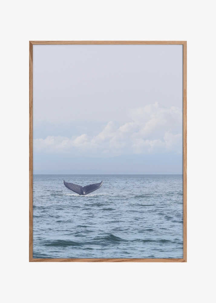 Whale&#039;s Farewell