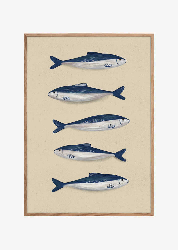 Sardines