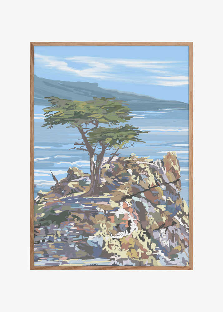 Quiet Sentinel, 17 Mile Drive, California