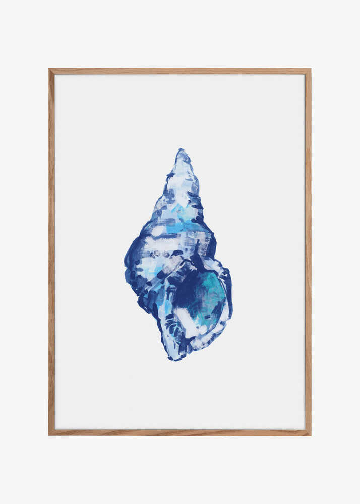Blue Seashell On White Background No 2
