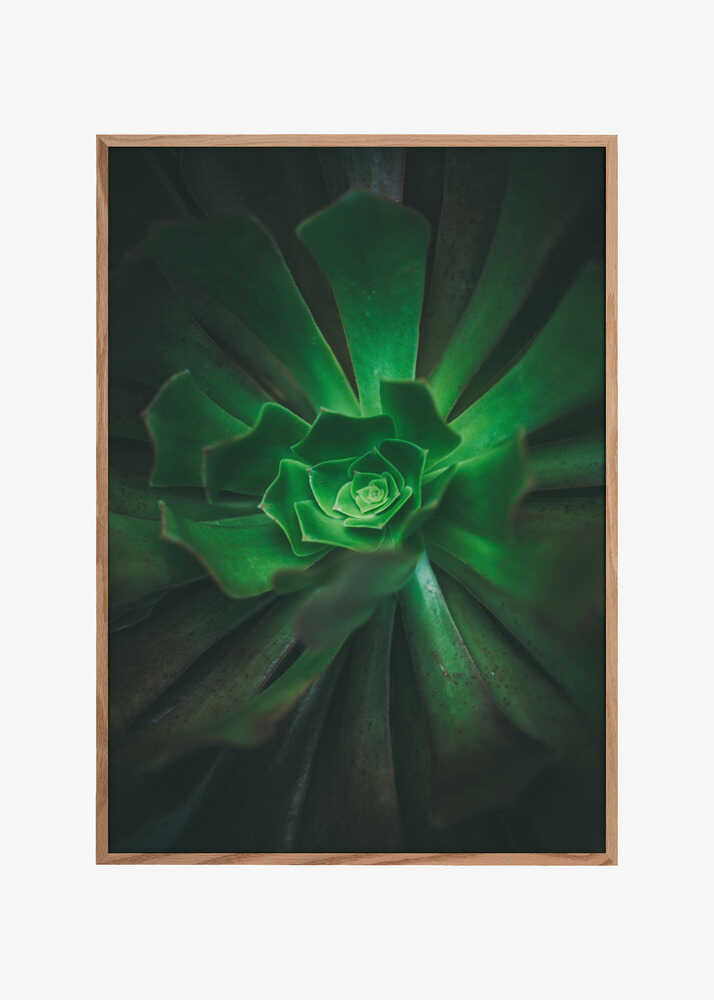 Green Spiral Bloom