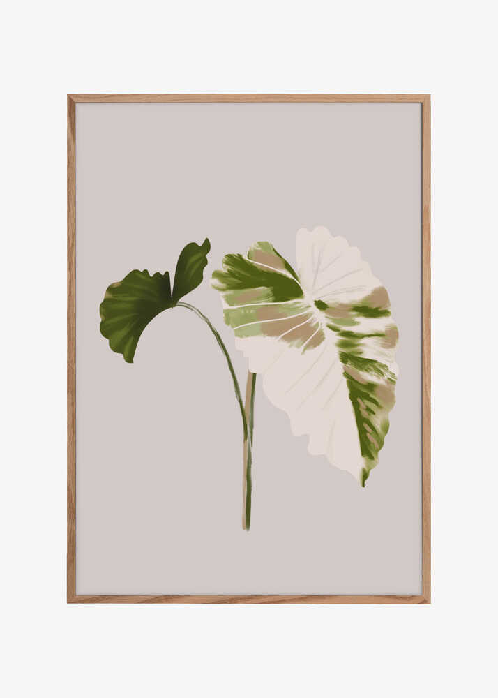 Filodentro Tropical Leaves