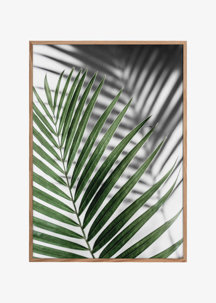 Vibrant Green Palm Leaf
