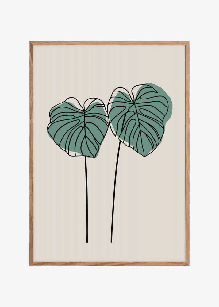 Monstera Leaves