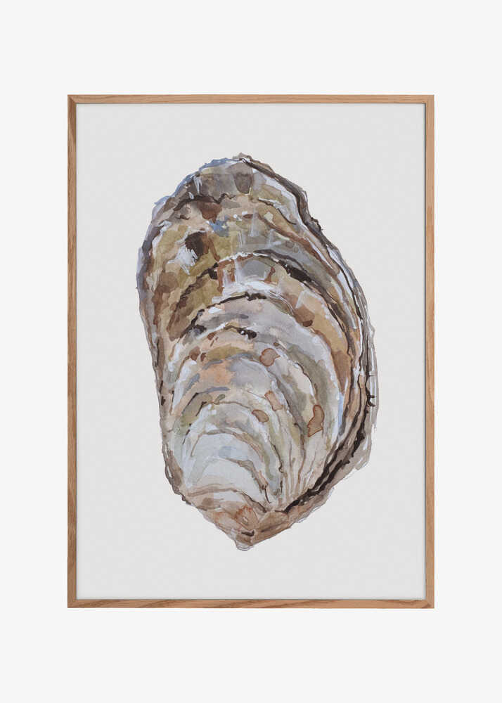 Oyster&#039;s Elegance