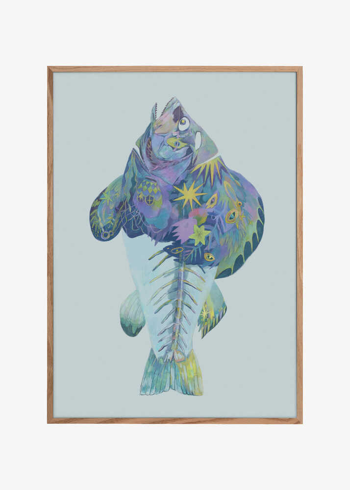 Vibrant Colors And Intricate Patterns Fish